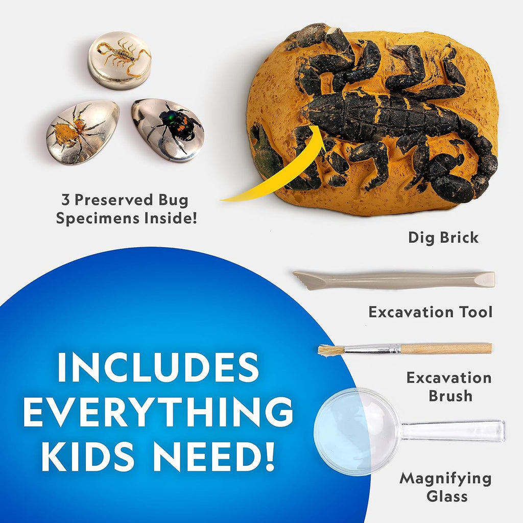 National Geographic Real Bug Dig Kit, product image 5
