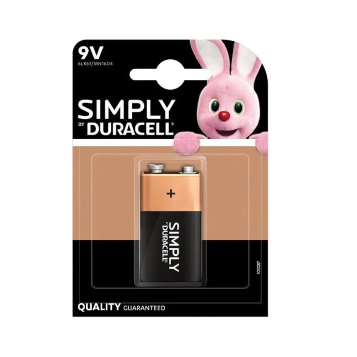 Duracell 9V Battery