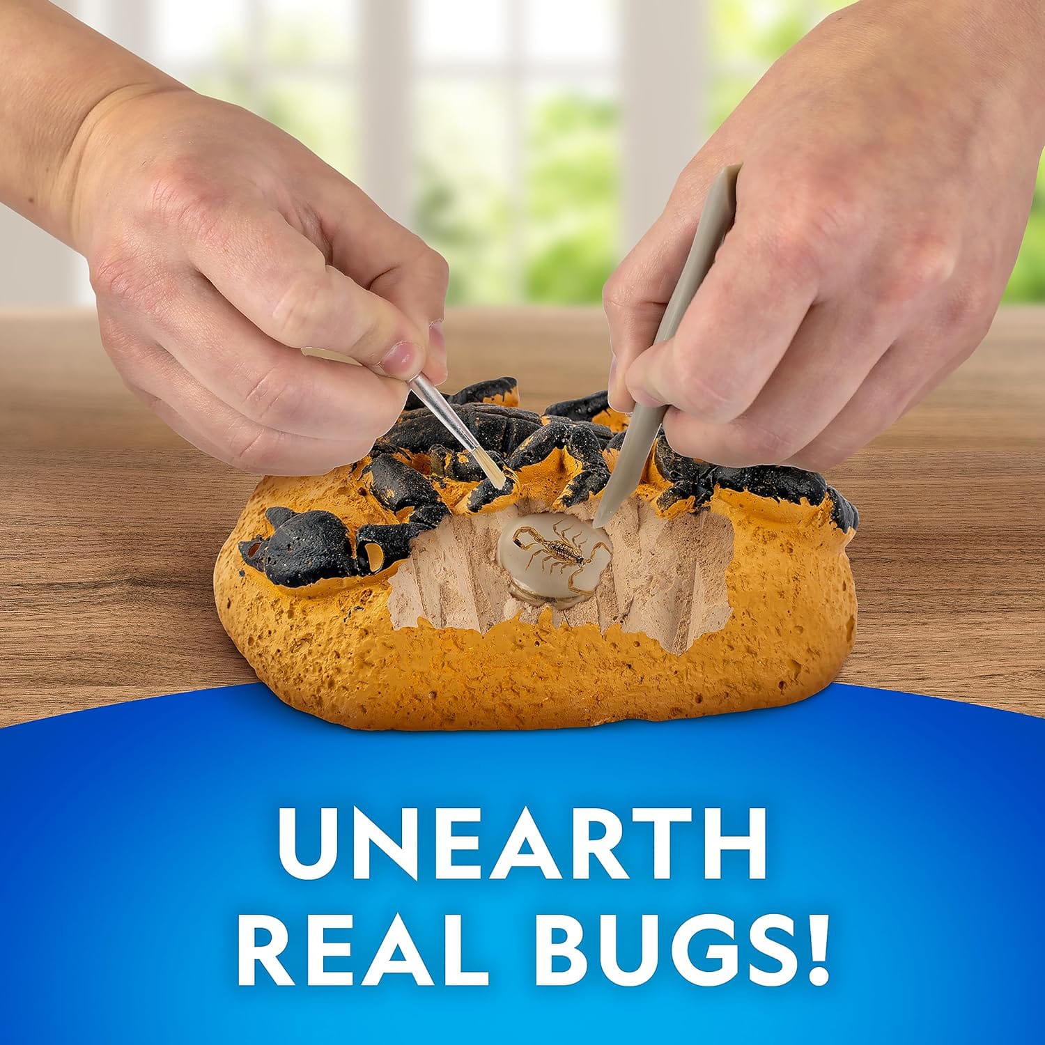 National Geographic Real Bug Dig Kit, product image 2