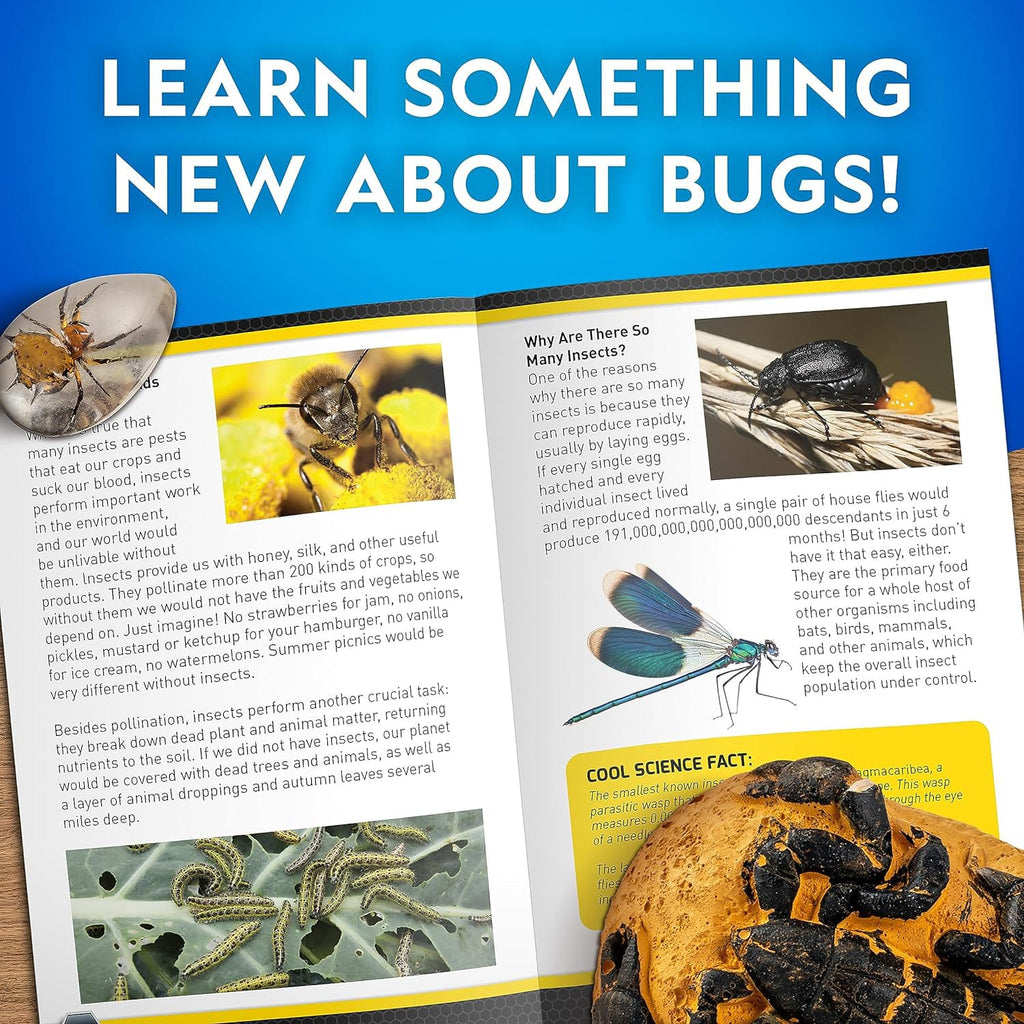 National Geographic Real Bug Dig Kit, product image 6