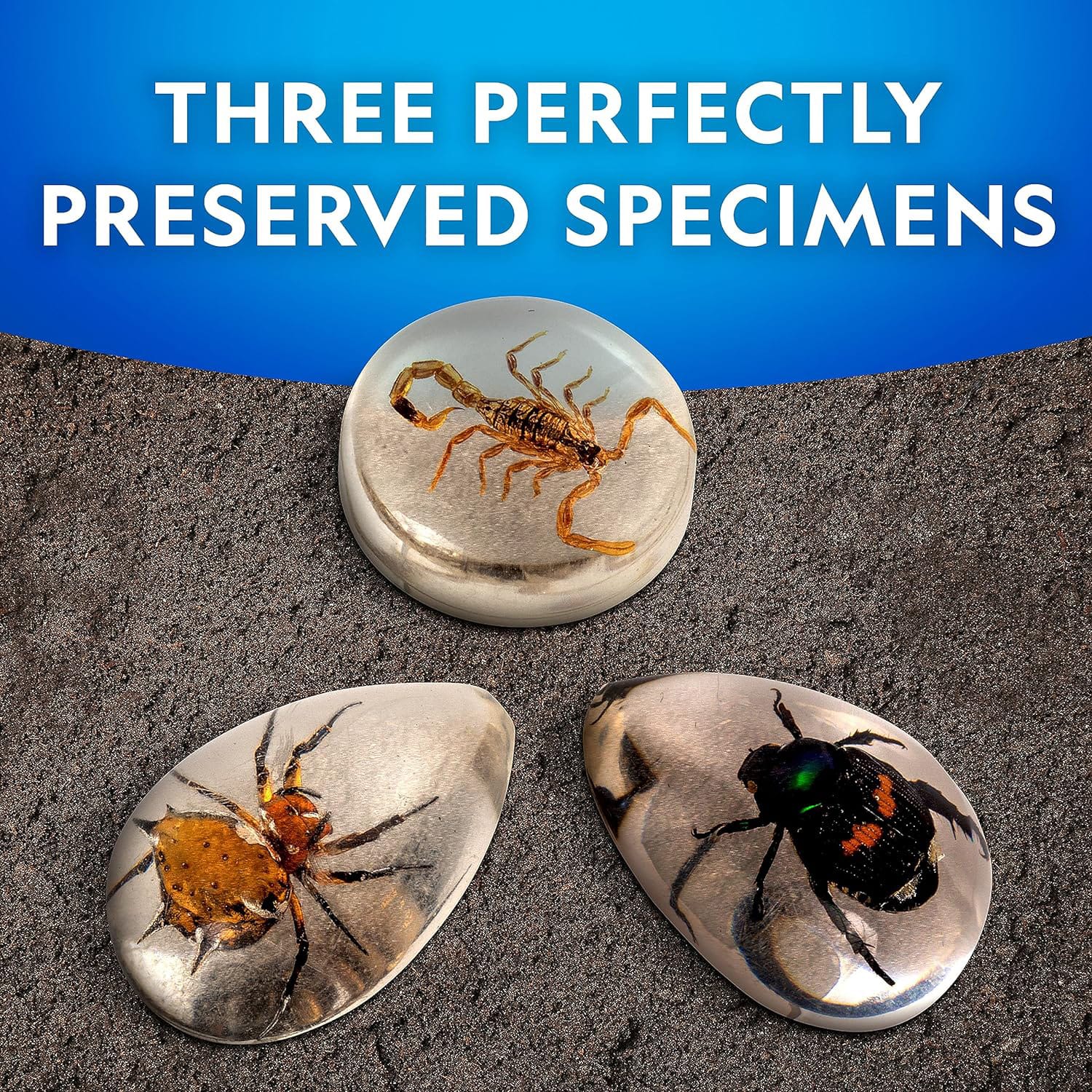 National Geographic Real Bug Dig Kit, product image 4